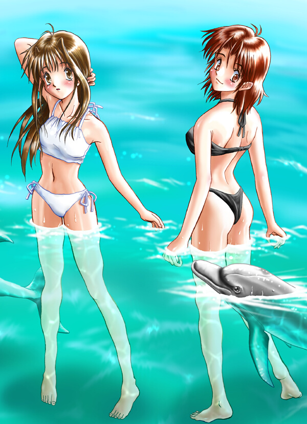 �c�`�m�b�d�@�v�h�s�g�@�c�n�k�o�g�h�m�r�E�L�����A�b�v�摜